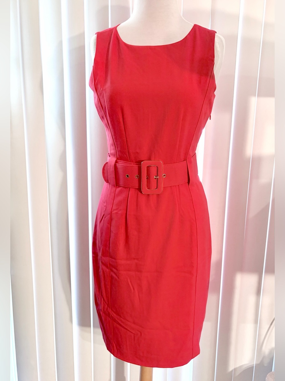 Calvin Klein Sleeveless Rosebud Pink Sheath Dress with Matching Belt Size 2